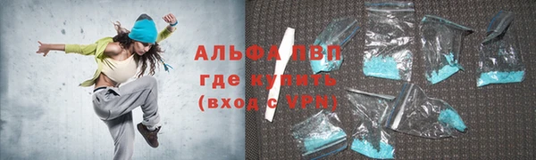 мдпв Инсар