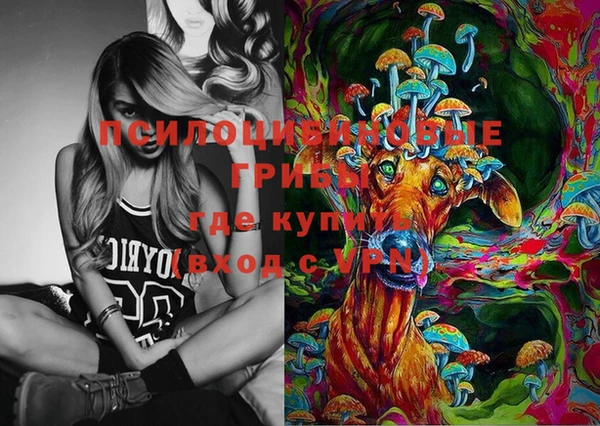 прущий лед Инта