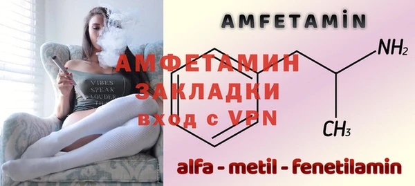 мдпв Инсар