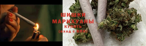 мдпв Инсар