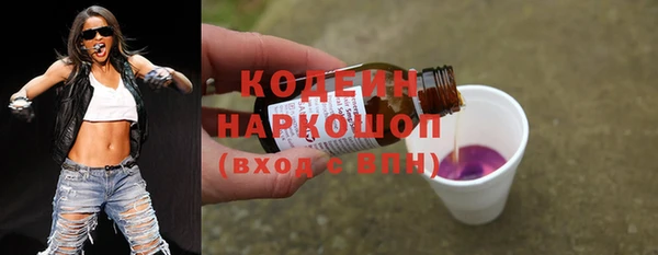 мдпв Инсар