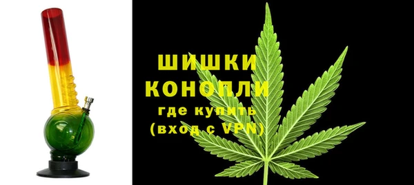 ПСИЛОЦИБИНОВЫЕ ГРИБЫ Иннополис