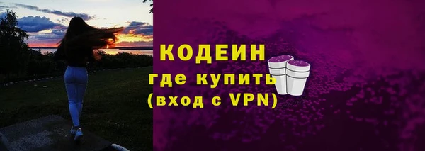 мдпв Инсар