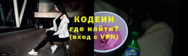 мдпв Инсар