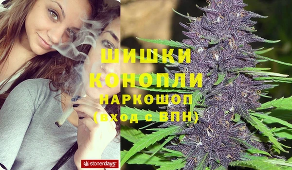 ПСИЛОЦИБИНОВЫЕ ГРИБЫ Иннополис