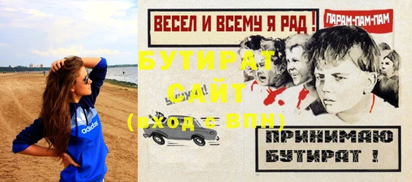 мдпв Инсар