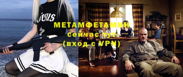 мдпв Инсар