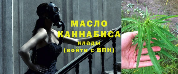мдпв Инсар