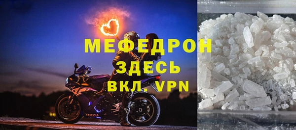 мдпв Инсар