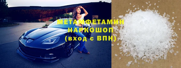 мдпв Инсар